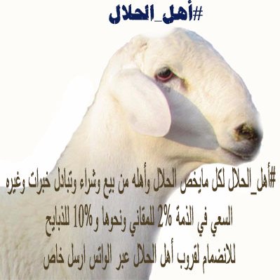 #أهل_الحلال لكل مايخص الحلال وأهله من بيع وشراء وتبادل خبرات وغيره.
السعي في الذمة 2% للمقاني ونحوها و10% للذبايح.
للانضمام لقروب أهل الحلال عبر الواتس ارسل خاص