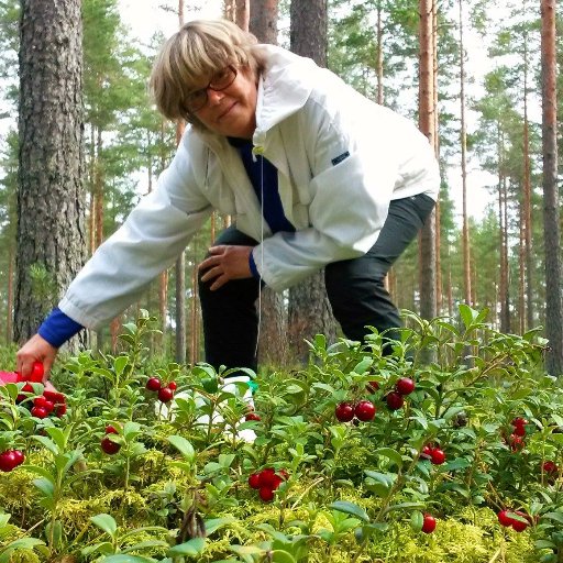 Olennaisen löytäminen, maailman parannus, hyvänolon lisääminen .....