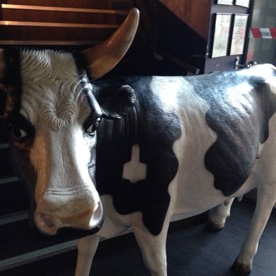 special_jeky's profile picture. GRAPHIC DESIGN