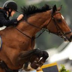 x_horse99's profile picture. Chiedimi di mostrarti poesia in movimento... e ti mostrerò un CAVALLO❤️