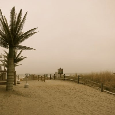 jean_codio's profile picture. 