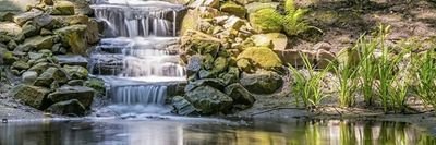 Algohrh245's profile picture. لانرى انفسنا بقدر مايرانا الاخرين ولهذا نحن بحاجه الى مرايا لكي نطلع عليها جيدا قبل ان نصف انفسنا بشئ قد لايكون هو منبع الصفه فينا00