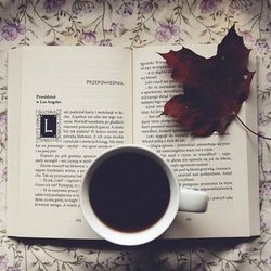 MissASchultz's profile picture. English Teacher