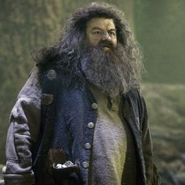 RubeusJagi's profile picture. Guardabosque de Hogwarts, Maestro en @Hogwartssite, Soy un semigigante muy amigable, me encantan las criaturas magicas, Fang es mi mejor amigo #Pottertty.