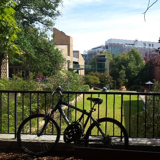 Luisitykind's profile picture. 