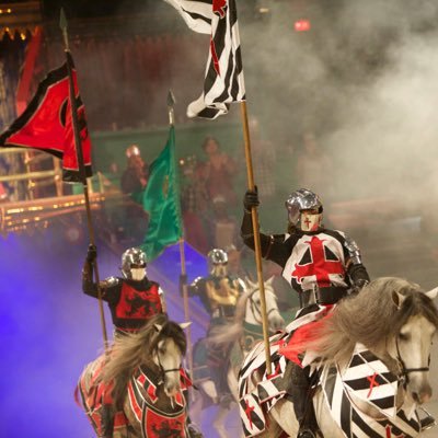 The official Twitter page for the Medieval Times Dallas castle!