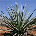 Chris Englund - @chrissseee - Twitter