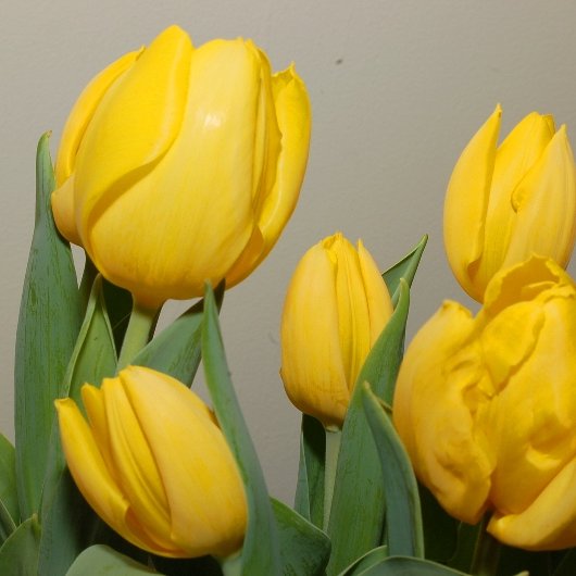 bst1201's profile picture. 