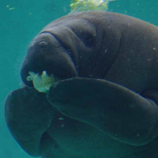 calcabrina3's profile picture. 男子フルペシド神奈川県大会優勝者です