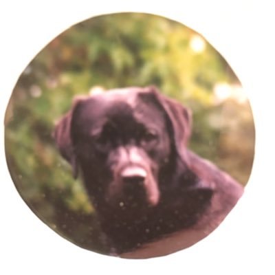 ArthurLallemant's profile picture. Life is life.