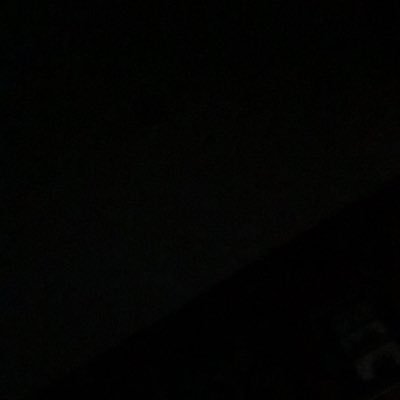 lilytuckerr_'s profile picture. 