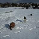 kym wilson - @snugglewuggle - Twitter