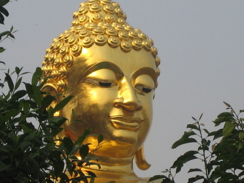 TravelTrae's profile picture. Philanthropy travel, Better The Globe one experience at a time!