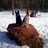 Michelle798's profile image