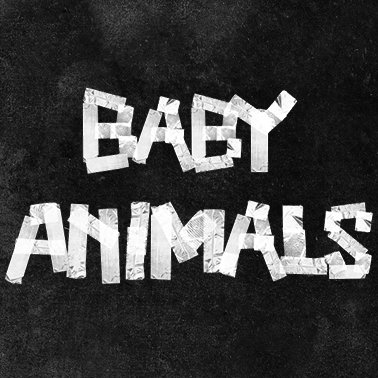 Baby Animals