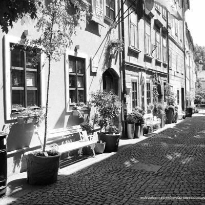 LjubljanaJewish's profile picture. The Jewish Cultural Center (JCC) in Ljubljana. https://t.co/VAzNTtj7vw Synagogue- Shabbat services information: Rabbi Ariel Haddad rabbislovenia@gmail.com