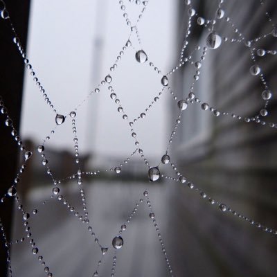 posoh11's profile picture. 