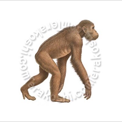 死にかけてきたキャニューさんのプロフィール画像
