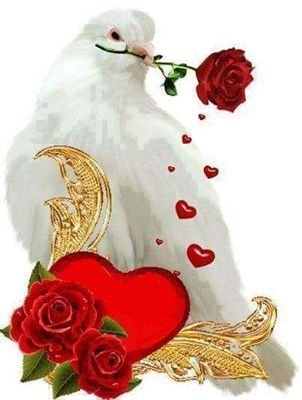 AyadAms48800's profile picture. ‏‏‏موسيقى