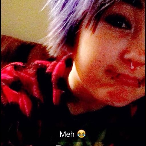 I'm a potato that loves bmth and saywecanfly a lot omg and cheese..