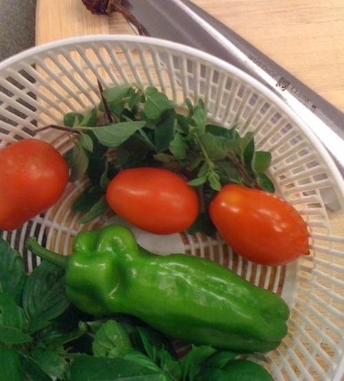 A community and neighborhood garden in Decatur, GA's Midway Woods Neighborhood