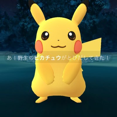 ポケモンGo専用アカウントです ランク24 チーム赤です 主に愛知で行動してます 無言フォローすみません