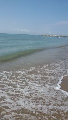 HaerderHeike's profile picture. 