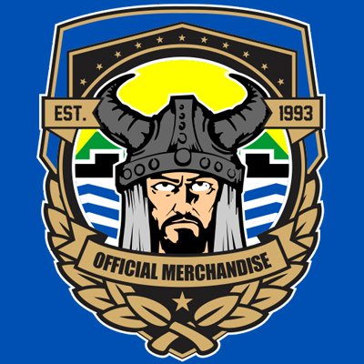 Official twitter viking shop