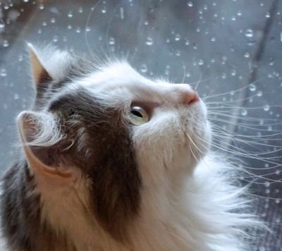 marinella2202's profile picture. 