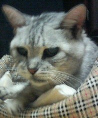 おなやみ通信さんのプロフィール画像