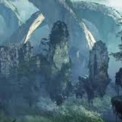 mybrow99's profile picture. I like tweets.