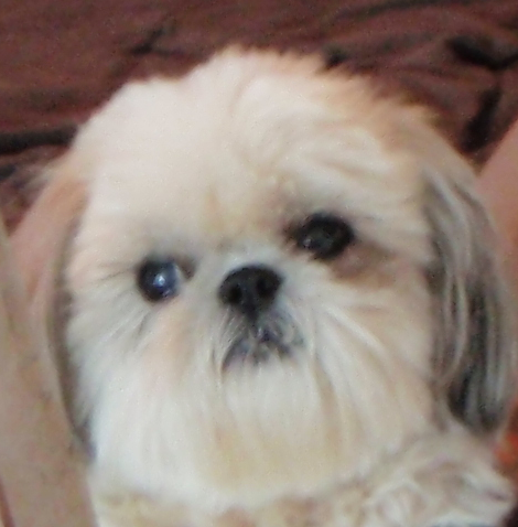 BurnsBarr's profile picture. 