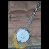 Not a social media consultant or entrepreneur. Not even very social. Must be the banjo ...