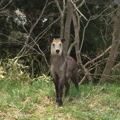 岩手県二戸市地域おこし協力隊 長谷と高橋が二戸での生活の中で発見したことや情報など発信していきます＾＾