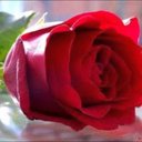 . (@05666999) Twitter