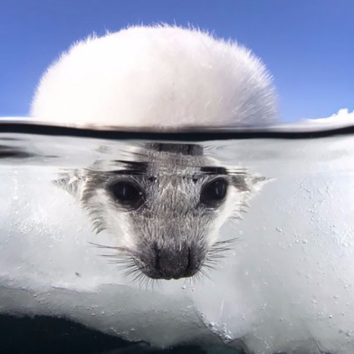 threddeer's profile picture. Proud Albertan. Love food, dogs, sports & people who get to the point. Opinions are my own.