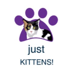 justkitt3ns's profile picture. Sólo tiernos gatitos! just cute kittens!