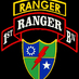 1st Ranger Battalion (@1strangerbn) Twitter profile photo 1st Ranger Battalion (@1strangerbn) Twitter profile photo