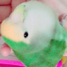 ゆーちゃんさんのプロフィール画像
