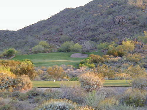 loving all things golf