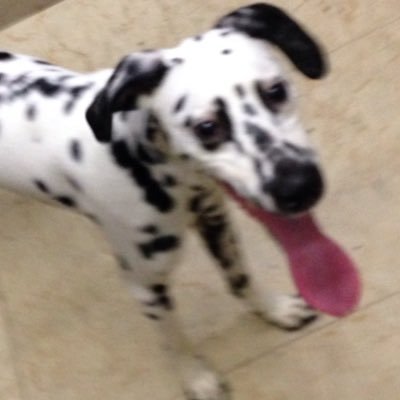 7460dc173d27487's profile picture. 