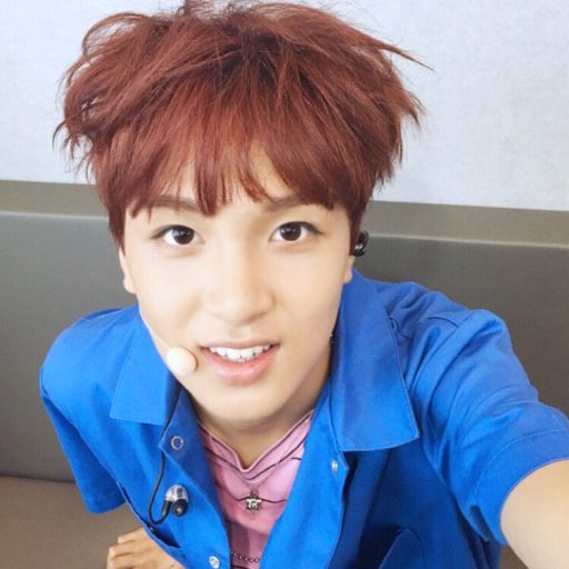 WoojaeChan's profile picture. ELF #SuperJunior 
Profesora Ciencias sociales - Inglés #Eunhae