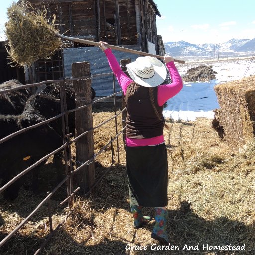Living and farming off the original land our family was homesteaded over 150 years ago. Author of Raising Young Children On The Homestead.