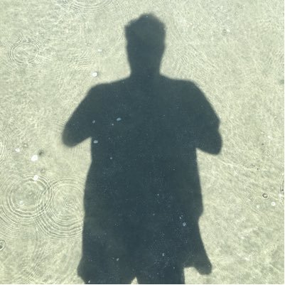 princefever2's profile picture. Striving to make communications better.