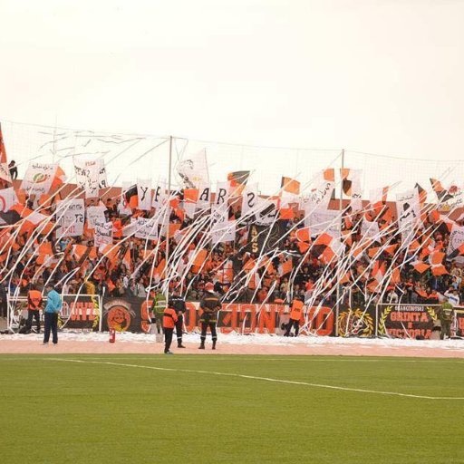 BerkaniYacoubi's profile picture. 