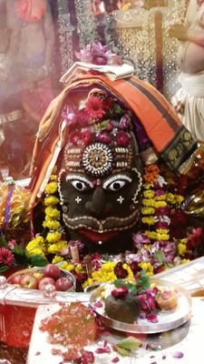 bloomdoom8's profile picture. 