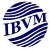 ibvmun(@ibvmngo) 's Twitter Profileg