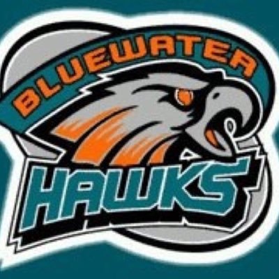 Official Twitter Account of the Bluewater Junior Hawks Playing in the Provincial Women's Hockey League