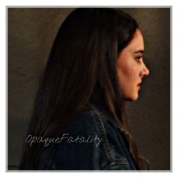 『ɪɴ ᴏʀᴅᴇʀ ᴛᴏ ʀɪꜱᴇ ꜰʀᴏᴍ ɪᴛ'ꜱ ᴏᴡɴ ᴀꜱʜᴇꜱ, ᴀ ᴘʜᴏᴇɴɪx ᴍᴜꜱᴛ ꜰɪʀꜱᴛ ʙᴜʀɴ.』— ※ ― 【OC | mercenary AU | fandom flex.】