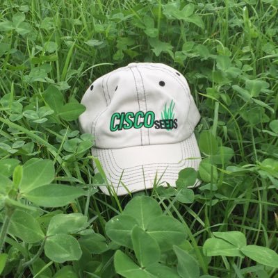 Midwestern Seed House: custom seed blends for hay and pasture production; cover crops for improved profitability & soil health.